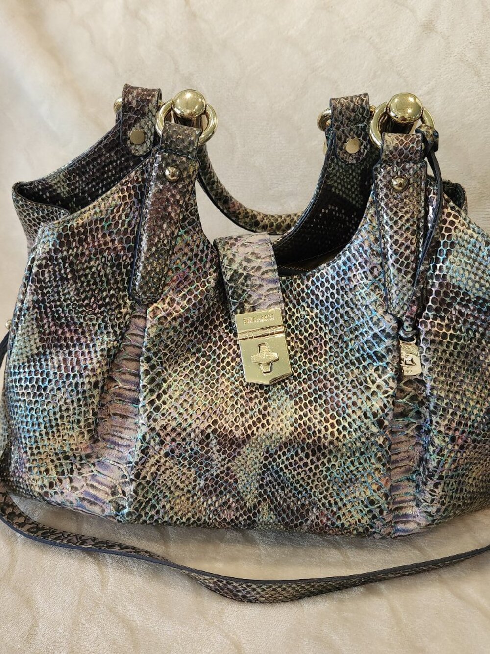 Brahmin iridescent